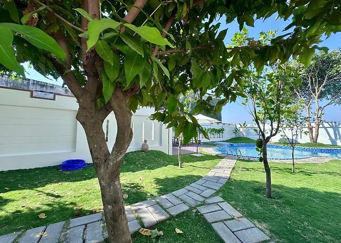 Vin Garden *